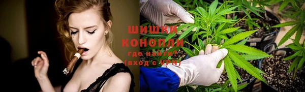 гашик Арсеньев