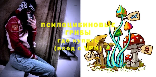 дживик Аркадак