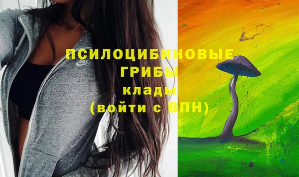 дживик Армянск