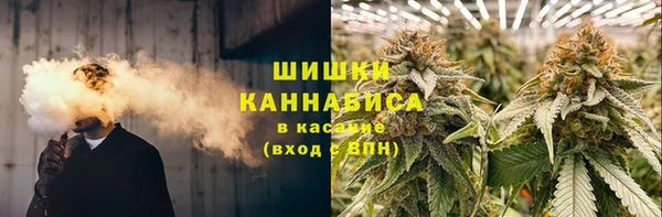 дживик Аркадак