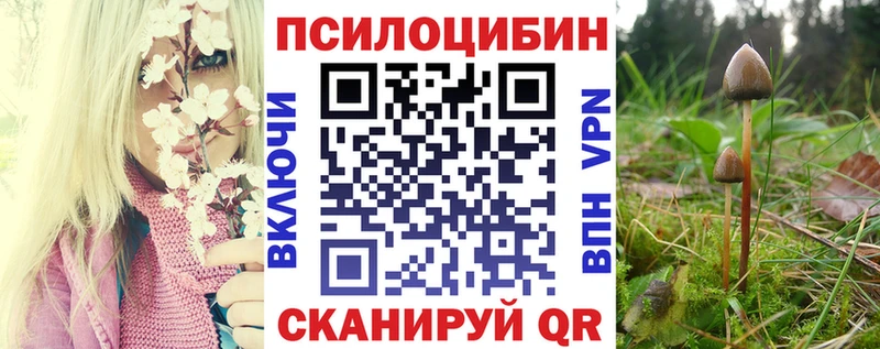 Псилоцибиновые грибы GOLDEN TEACHER  купить  сайты  Кирово-Чепецк 