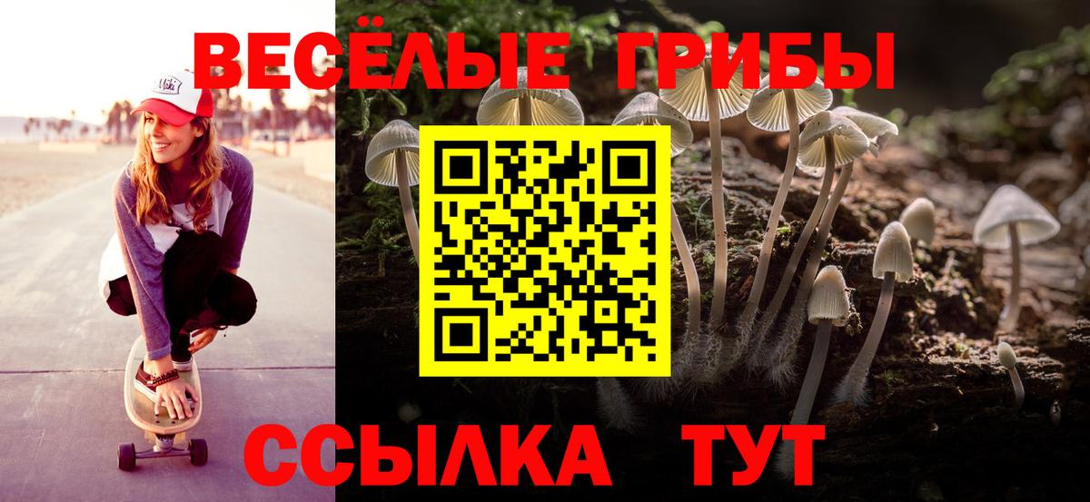 Галлюциногенные грибы MAGIC MUSHROOMS Кирово-Чепецк